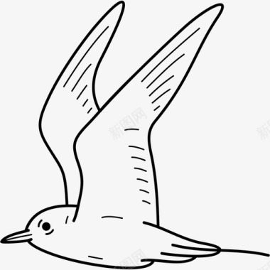 阿留申燕鸥鸟类白令海图标