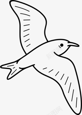 灰海燕鸟远洋图标