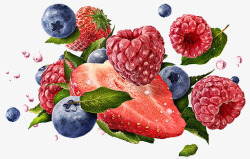 莓子 食物素材