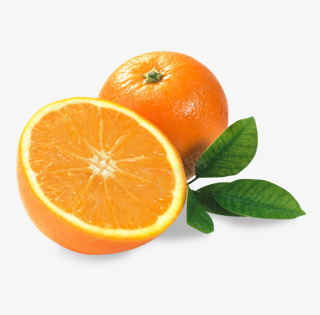 橙色免费下载水果png免抠素材_88icon https://88icon.com 橙色 免费下载 水果