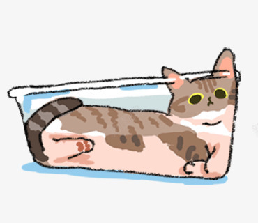 stickers cat  Tumblr壁纸png免抠素材_88icon https://88icon.com 壁纸