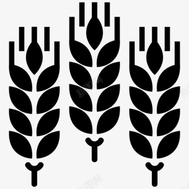小麦收获小麦穗图标