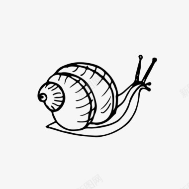 蜗牛动物手绘图标