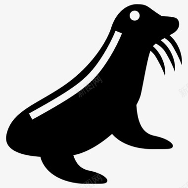 哺乳动物海豹动物哺乳动物图标