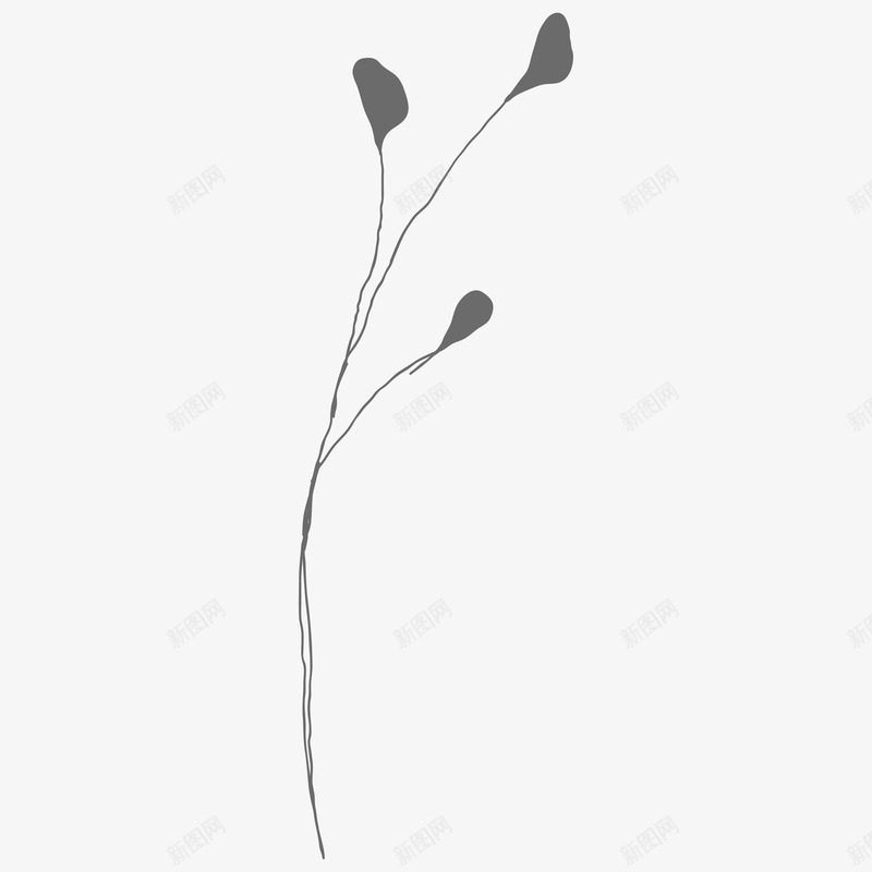botanical leaves  sketched florals花草png免抠素材_88icon https://88icon.com 花草