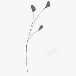 botanical leaves  sketched florals花草素材