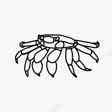 螃蟹动物插图图标
