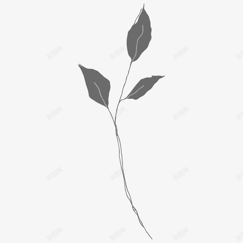 botanical leaves  sketched florals花草png免抠素材_88icon https://88icon.com 花草