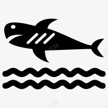 动物鲨鱼动物鱼图标