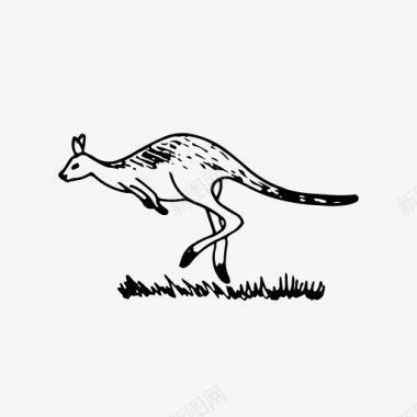 袋鼠一家袋鼠动物澳大利亚图标