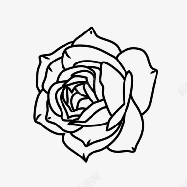 玫瑰美丽花卉图标