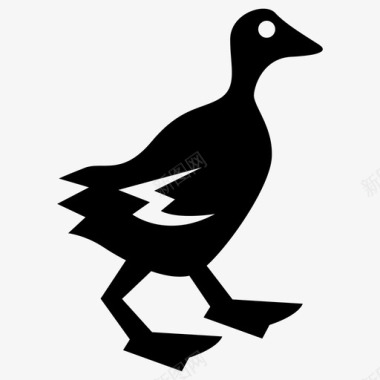 彩绘宠物鸭动物鸟图标