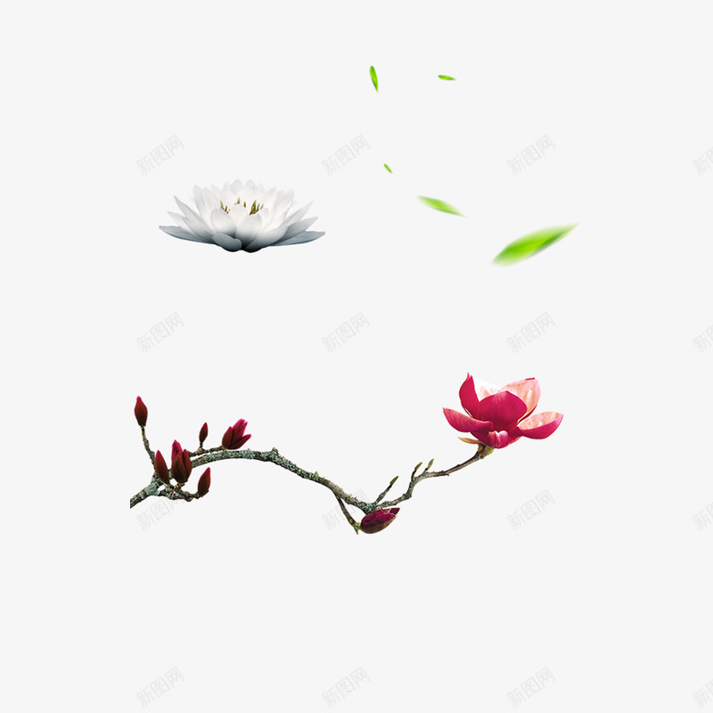 花叶植物png免抠素材_88icon https://88icon.com 花叶 植物