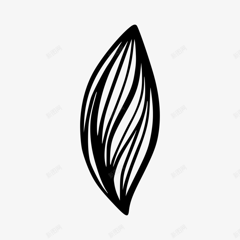 Abstract Botanical Elements插画png免抠素材_88icon https://88icon.com 插画