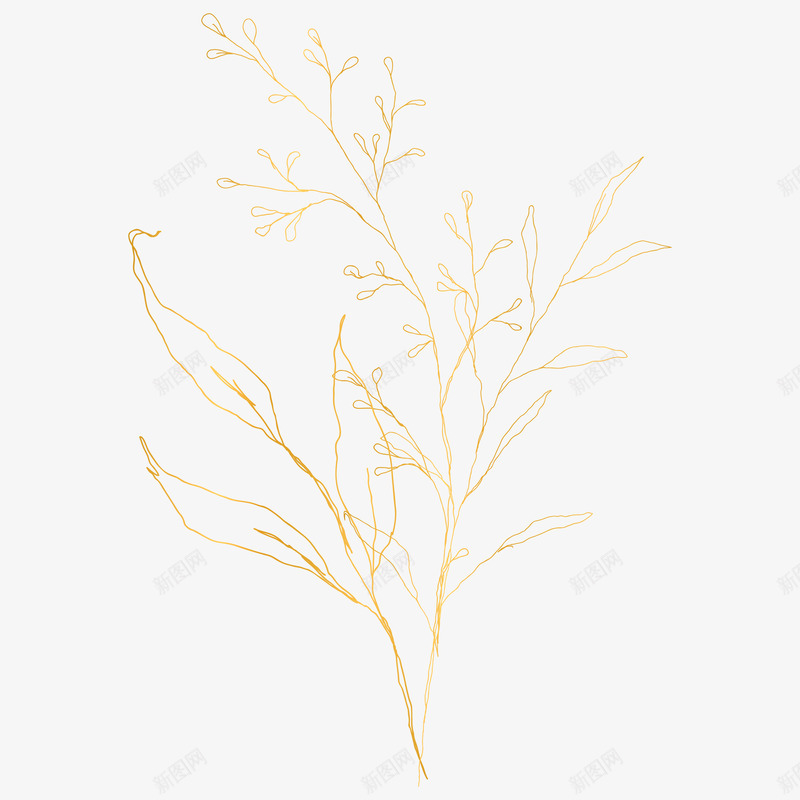 botanical leaves  sketched florals花草png免抠素材_88icon https://88icon.com 花草