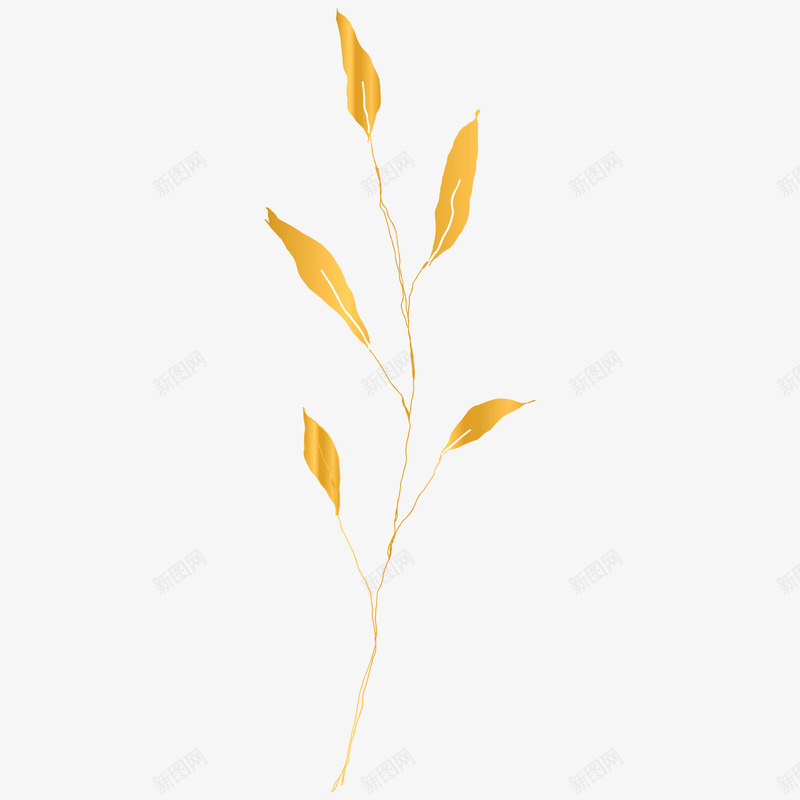 botanical leaves  sketched florals花草png免抠素材_88icon https://88icon.com 花草