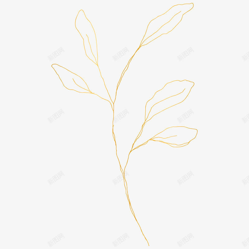 botanical leaves  sketched florals花草png免抠素材_88icon https://88icon.com 花草