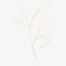 botanical leaves  sketched florals花草素材