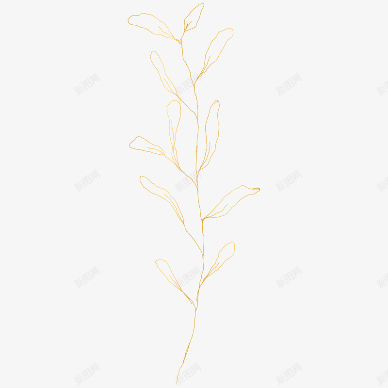 botanical leaves  sketched florals花草png免抠素材_88icon https://88icon.com 花草