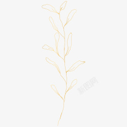 botanical leaves  sketched florals花草素材