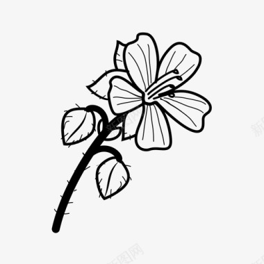 天竺葵美丽花图标