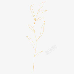 botanical leaves  sketched florals花草素材