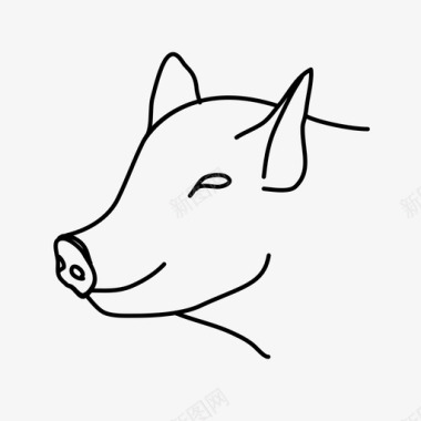 财神猪猪动物插图图标