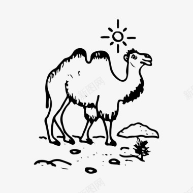 手绘骆驼动物沙漠图标
