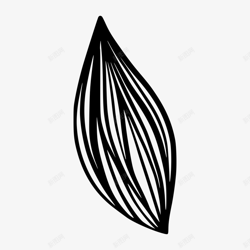 Abstract Botanical Elements插画png免抠素材_88icon https://88icon.com 插画