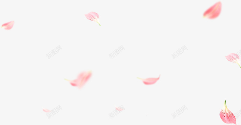 花瓣B产品抠图png免抠素材_88icon https://88icon.com 花瓣 产品 抠图