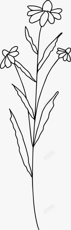 Botanicals植物素材