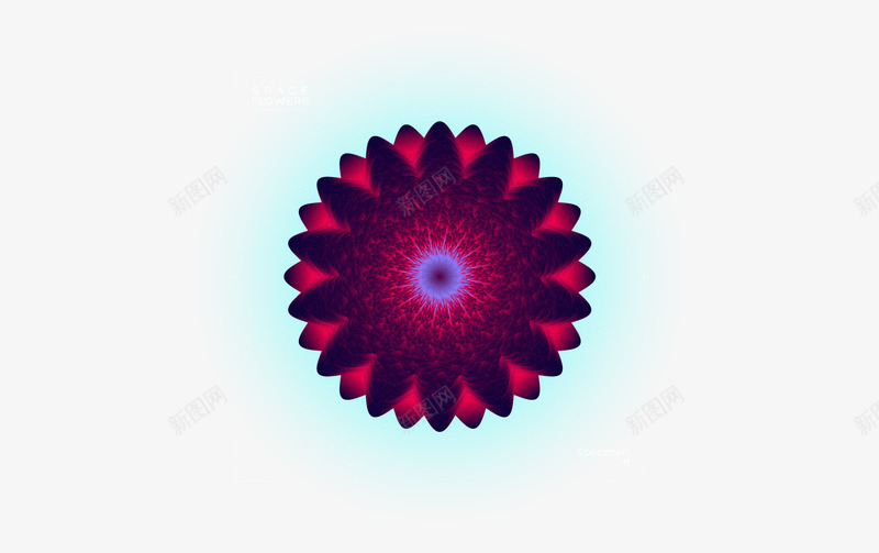 Space Flowers  Enjoy视觉酷png免抠素材_88icon https://88icon.com 视觉