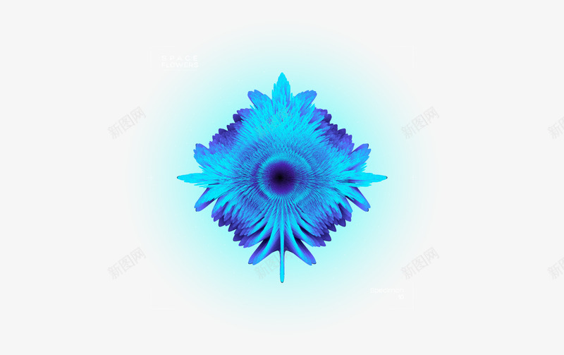 Space Flowers  Enjoy视觉酷png免抠素材_88icon https://88icon.com 视觉