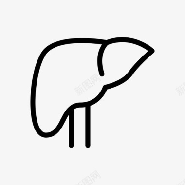 专家肝脏身体肝脏学图标