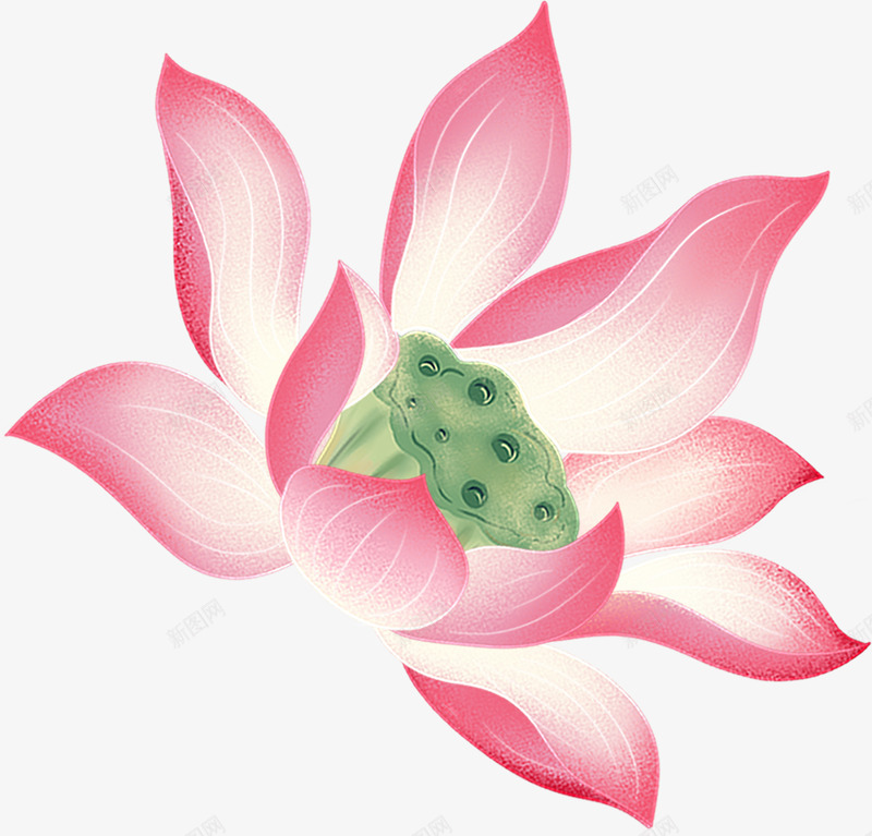 国画荷花 工笔画荷花 4传统png免抠素材_88icon https://88icon.com 荷花 国画 工笔画 传统