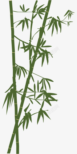 深绿色鼠绘竹子素材