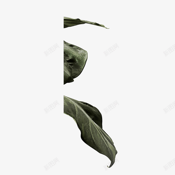 绿色装饰植物树叶pngpng免抠素材_88icon https://88icon.com 绿色 装饰 植物 树叶