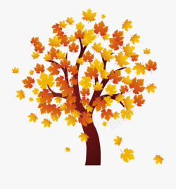 黄叶树冠树木卡通秋天的梧桐树高清图片
