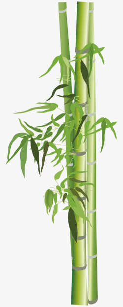 绿色鼠绘竹子素材
