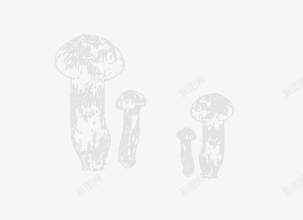 几颗小小松茸png免抠素材_88icon https://88icon.com 松茸 手绘 素描 蘑菇 线稿 简约 山珍 野生 图片 素材 元素 菌类 野生菌