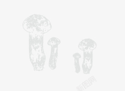 野生蘑菇几颗小小松茸高清图片