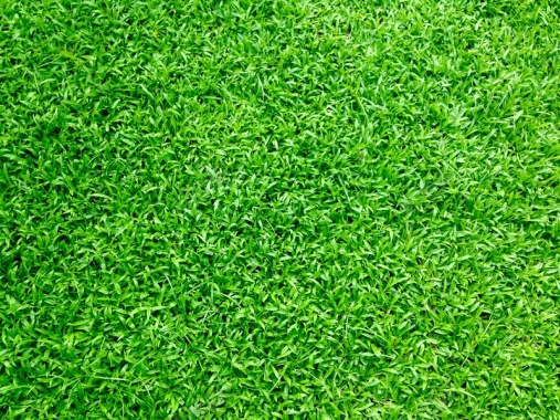 绿色草坪生态环保背景
