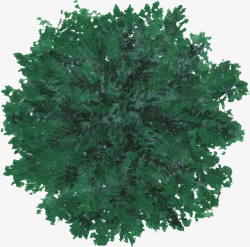 深绿色大树水彩风手绘素材