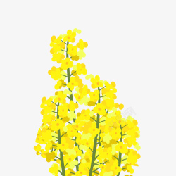 金色装饰黄色花朵植物绿色黄花元素素材