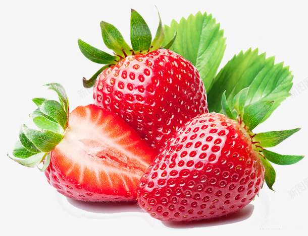 新鲜草莓红色草png免抠素材_88icon https://88icon.com 丰富 健康的 新鲜 新鲜草莓 无核水果 水分 水果 浆果 特写 红 红色 草莓 草莓横切面 莓 营养 食品 鲜红