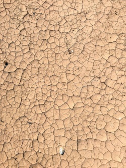 干涸大地干旱干涸枯萎生命的缺失高清图片