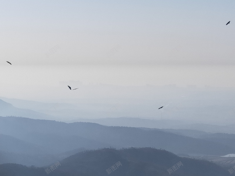 自由飞翔的雄鹰jpg设计背景_88icon https://88icon.com 雄鹰 蓝天 飞翔 自由