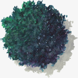 深绿色冠叶大树水彩风手绘带投影素材