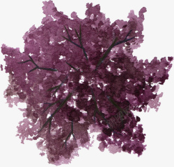 紫色树冠枝丫水彩风手绘素材
