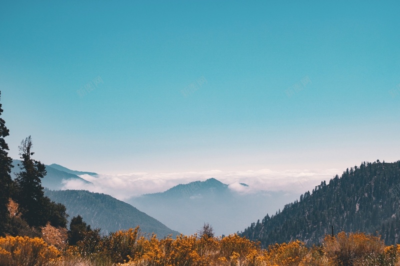 高清风景图片jpg设计背景_88icon https://88icon.com 风景 山林 景色 背景